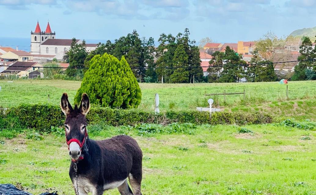 Quinta Do Avo Dimas - Rural Home - Sao Bras Porto Formoso Luaran gambar