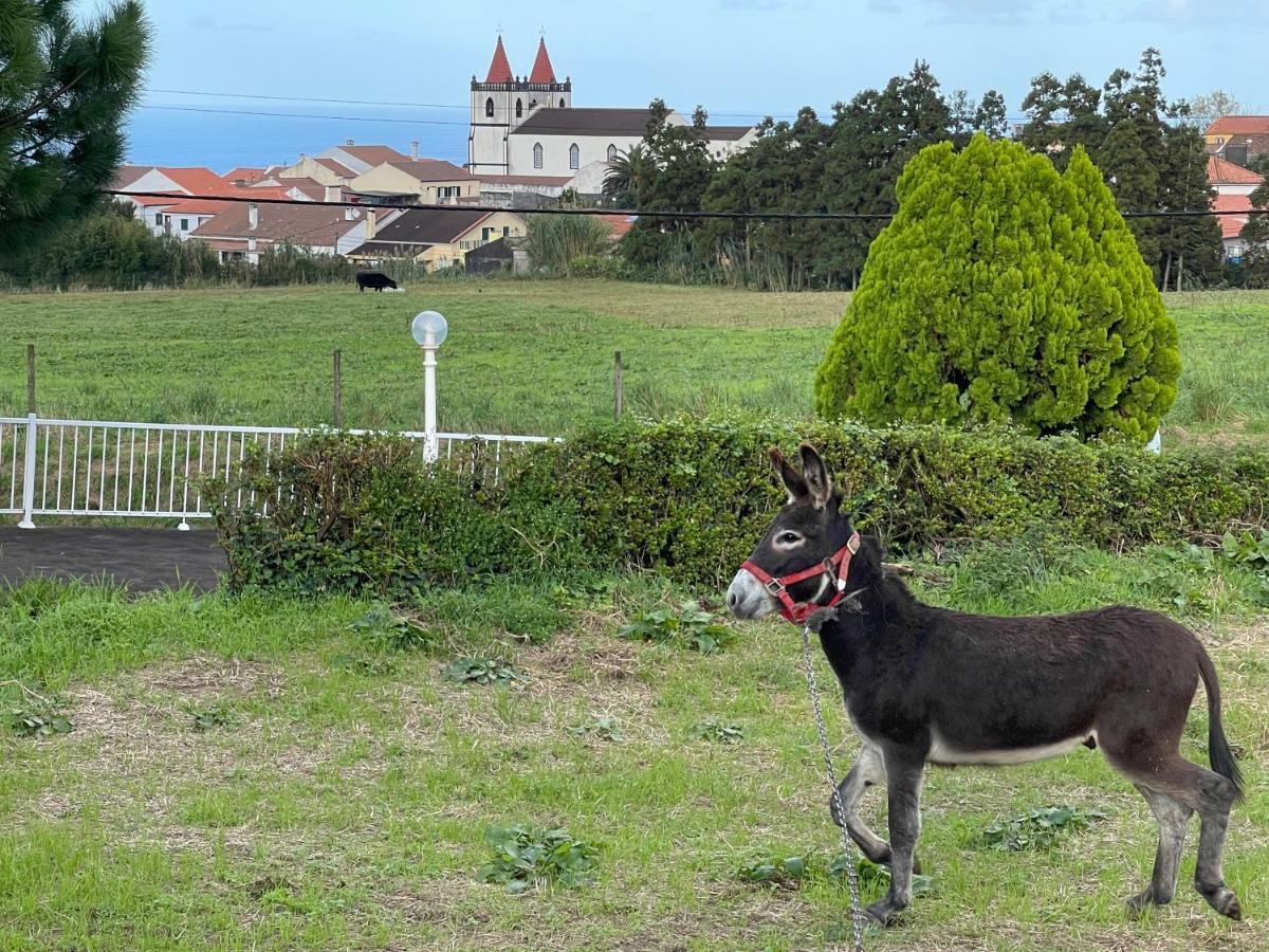 Quinta Do Avo Dimas - Rural Home - Sao Bras Porto Formoso Luaran gambar